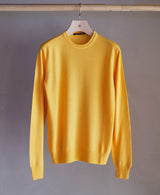 TL-1366/WISH Wool-Crew Neck Knit_1