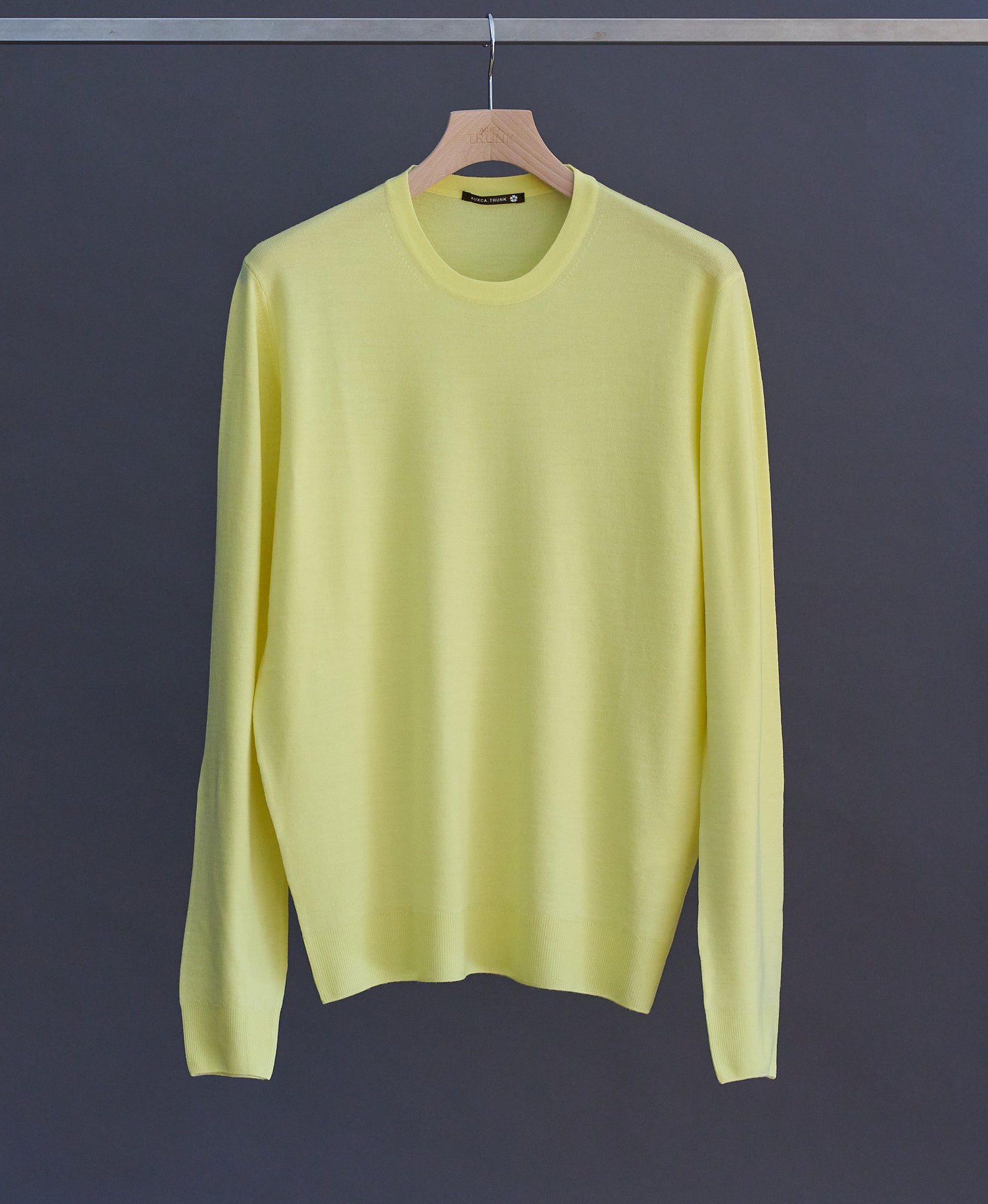 TM-0063 / WISH Wool-Crew Neck Knit – AUXCA. DESIGN ONLINE STORE